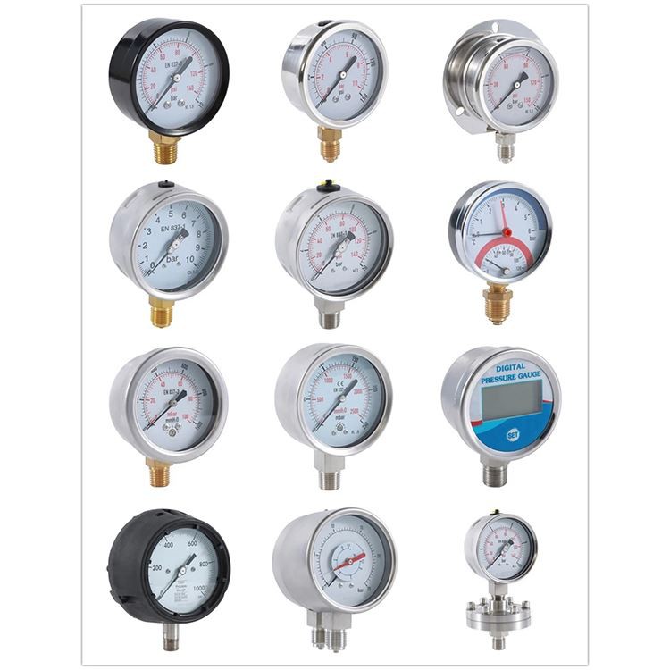 Bottom-Entry-Liquid-Filled-Pressure-Gauge-with-Brass-Internals