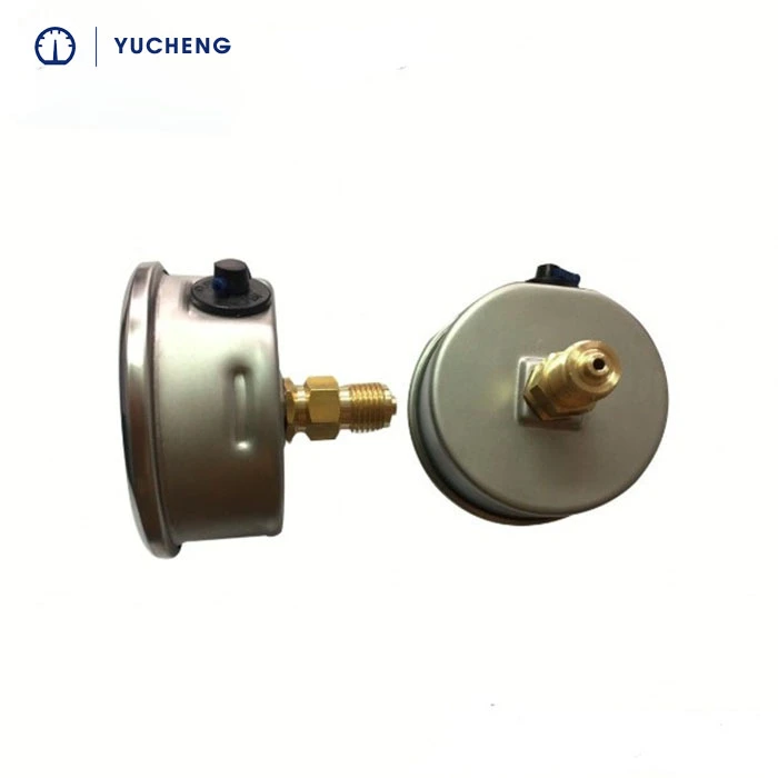 small pressure gauge (2)