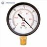 2 Inch Dial Brass Connect Pressure Gauge